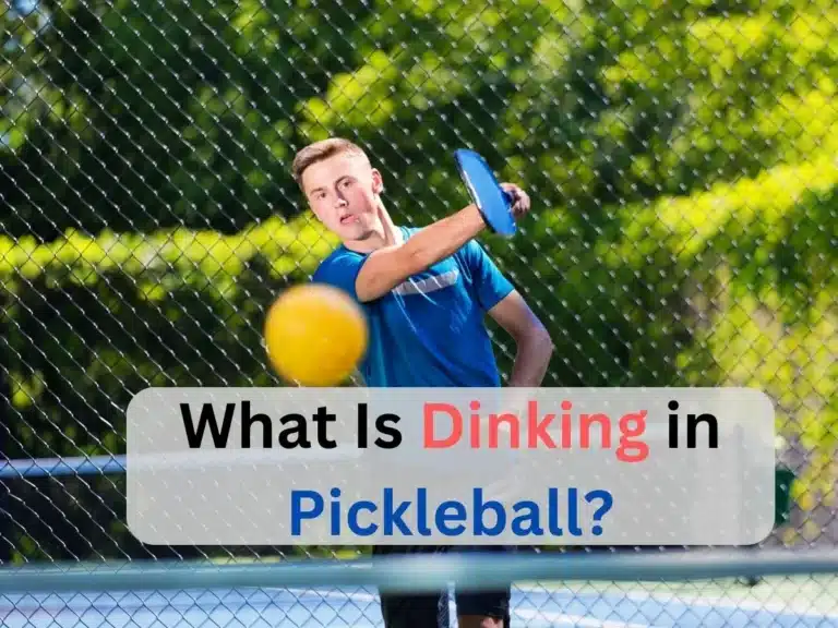 What Is Dinking in Pickleball | Perfect Time To Dink In Pickleball