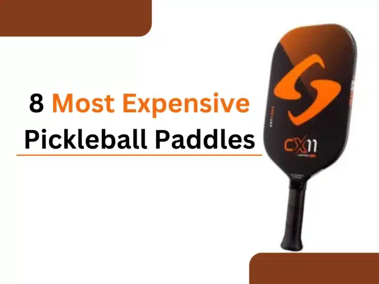 8 Most Expensive Pickleball Paddles | 2024 Top Paddles